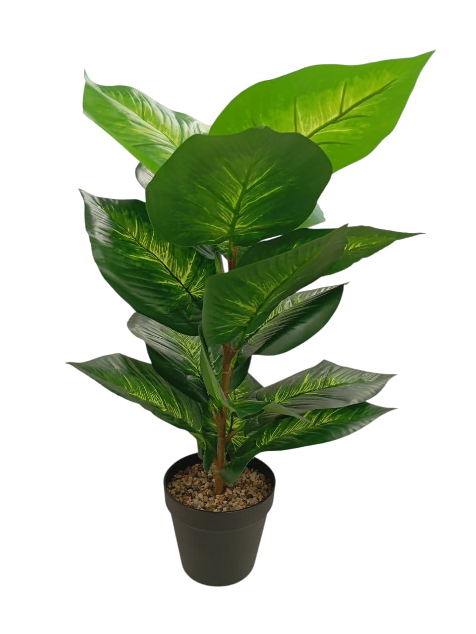 MACETA C/PLANTA HOJA SURT.50 C