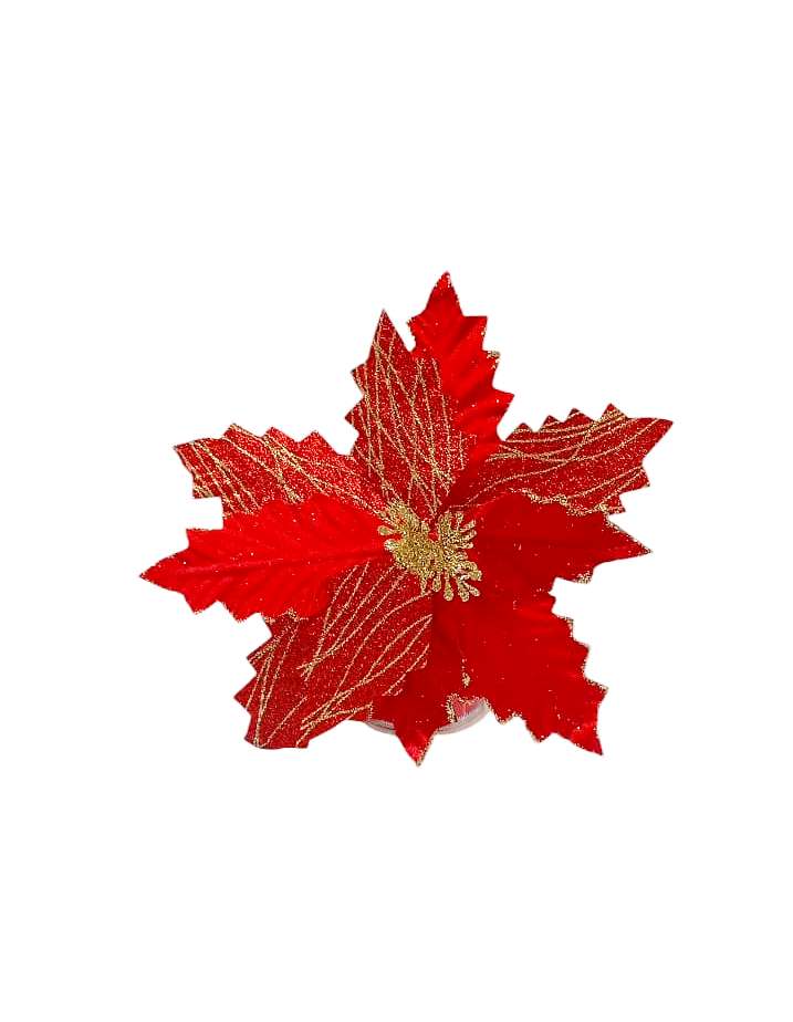 FLOR DE PASCUA 27X20CM ROJA/GO