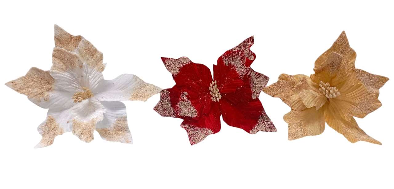 FLOR DE PASCUA 25X15CM