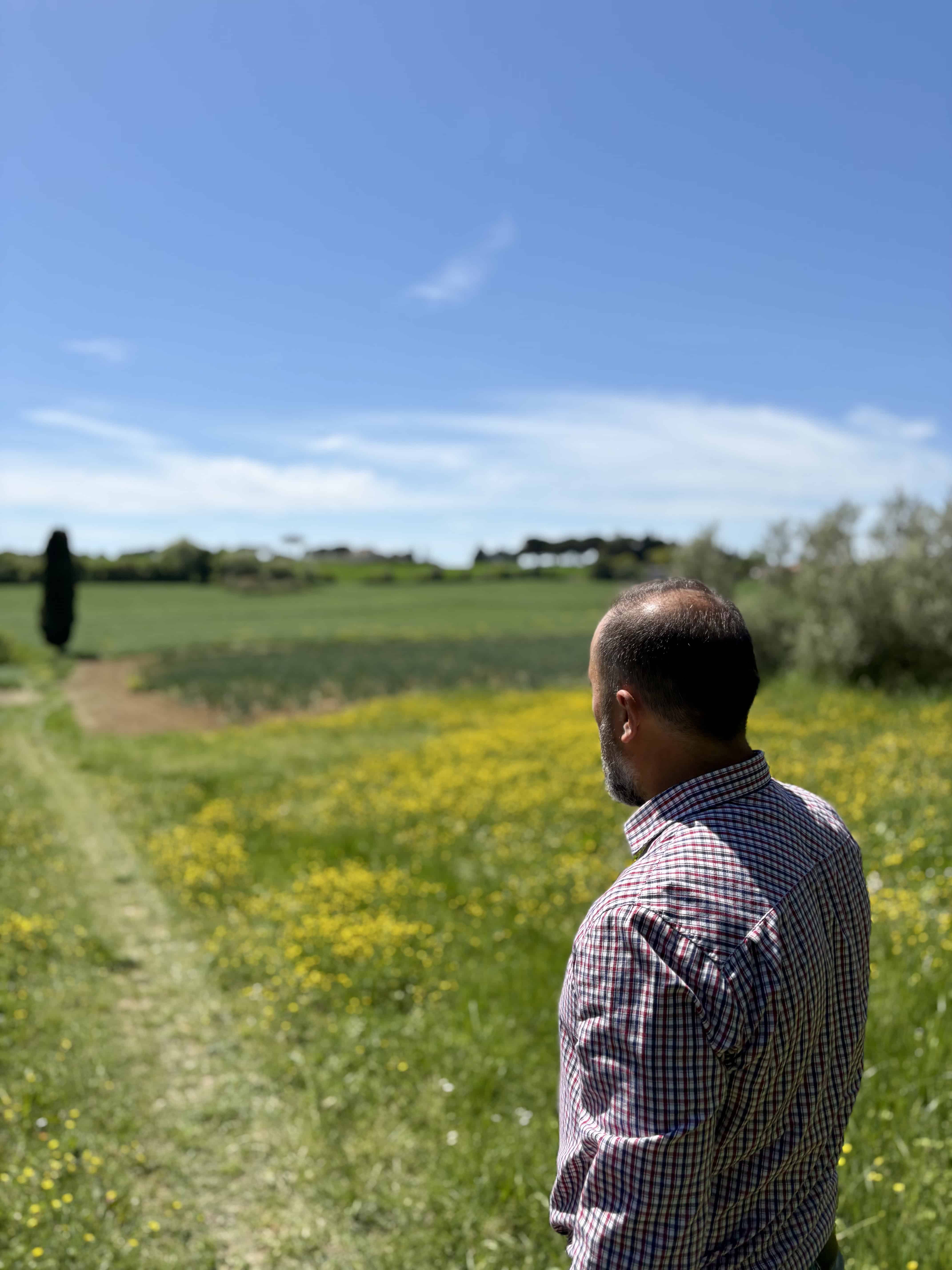 Jury Presenti in his olive grove