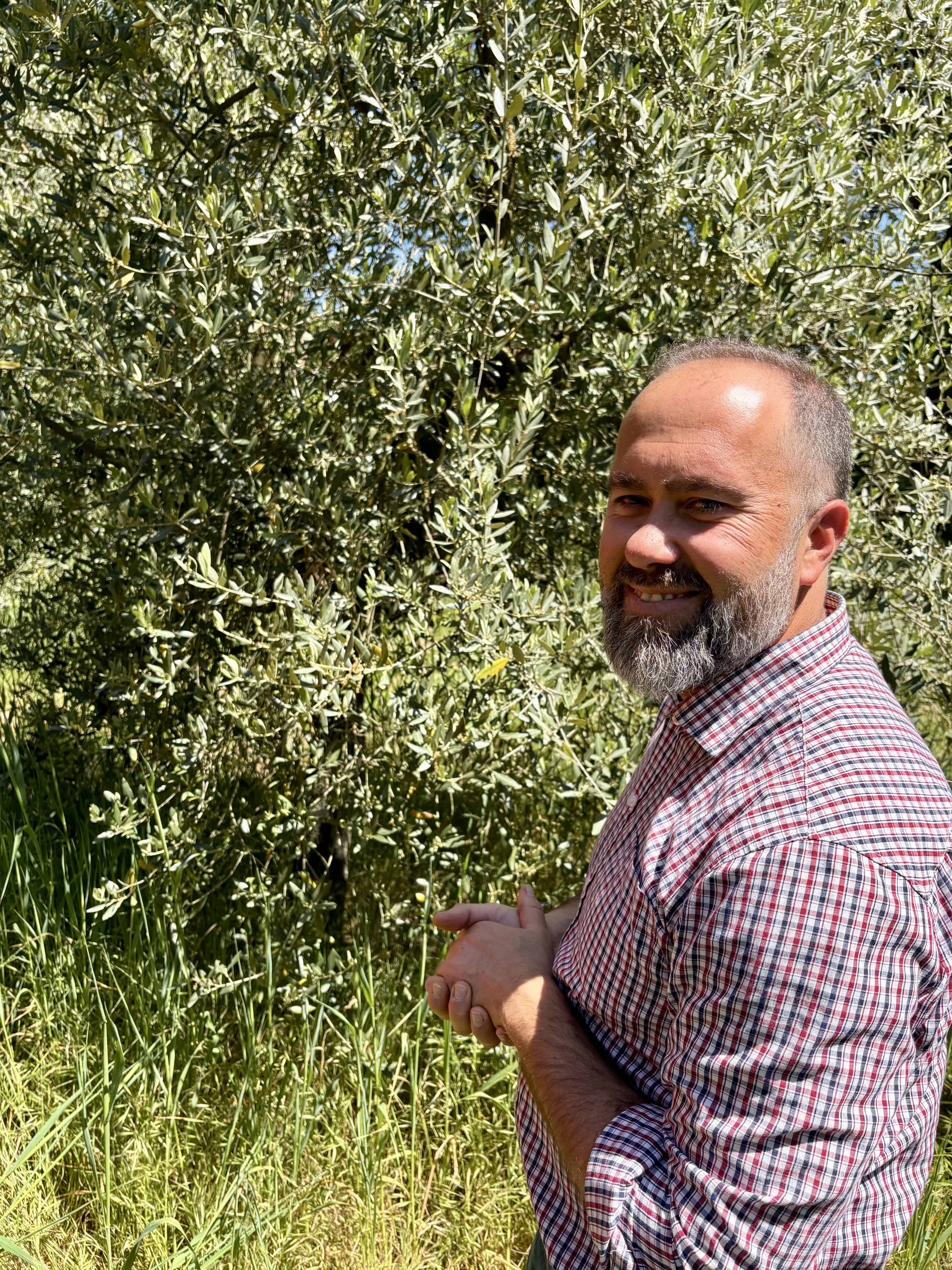 Jury Presenti looking out over his groves in Umbria
