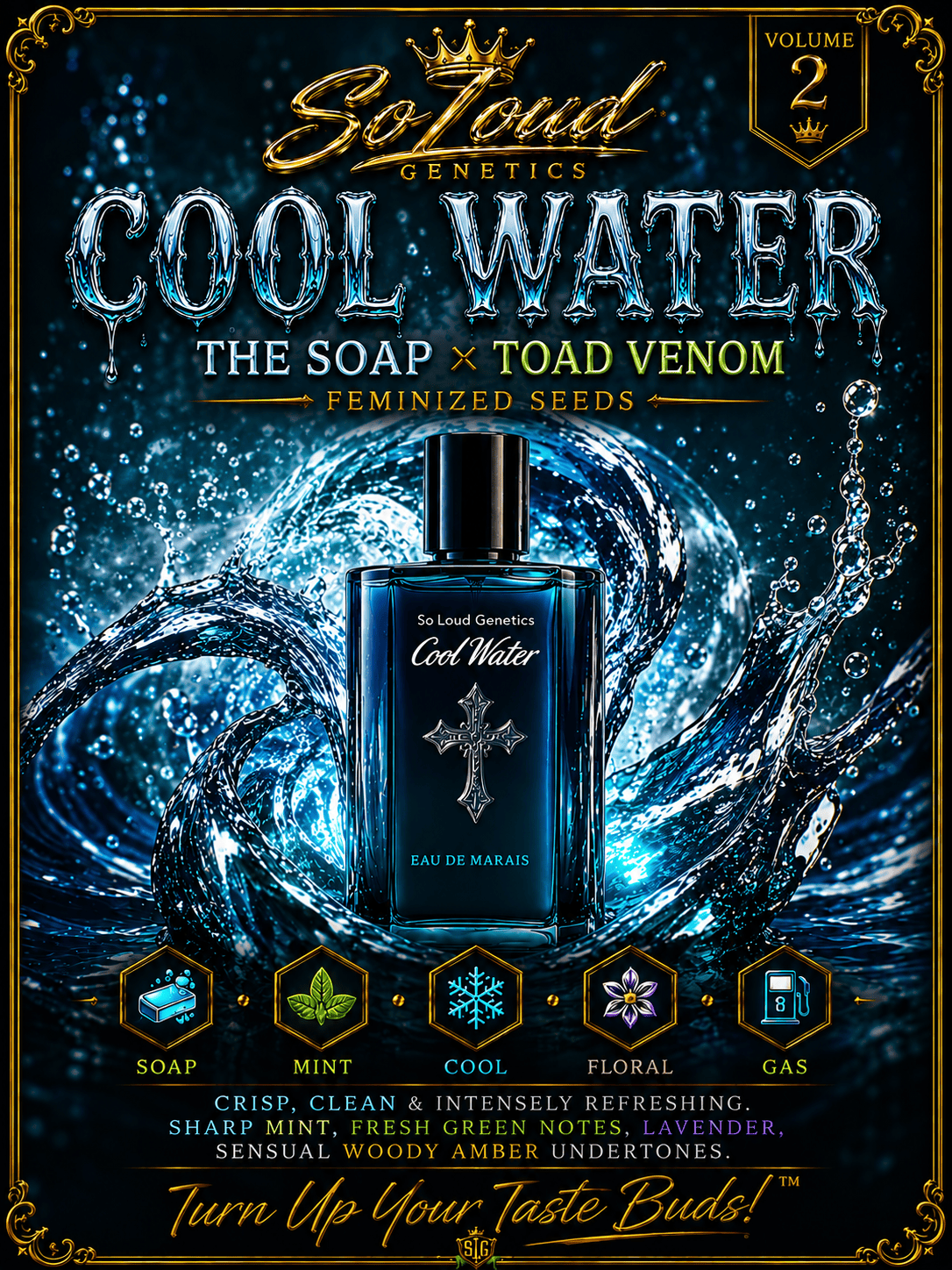 COOL WATER (FEM)
