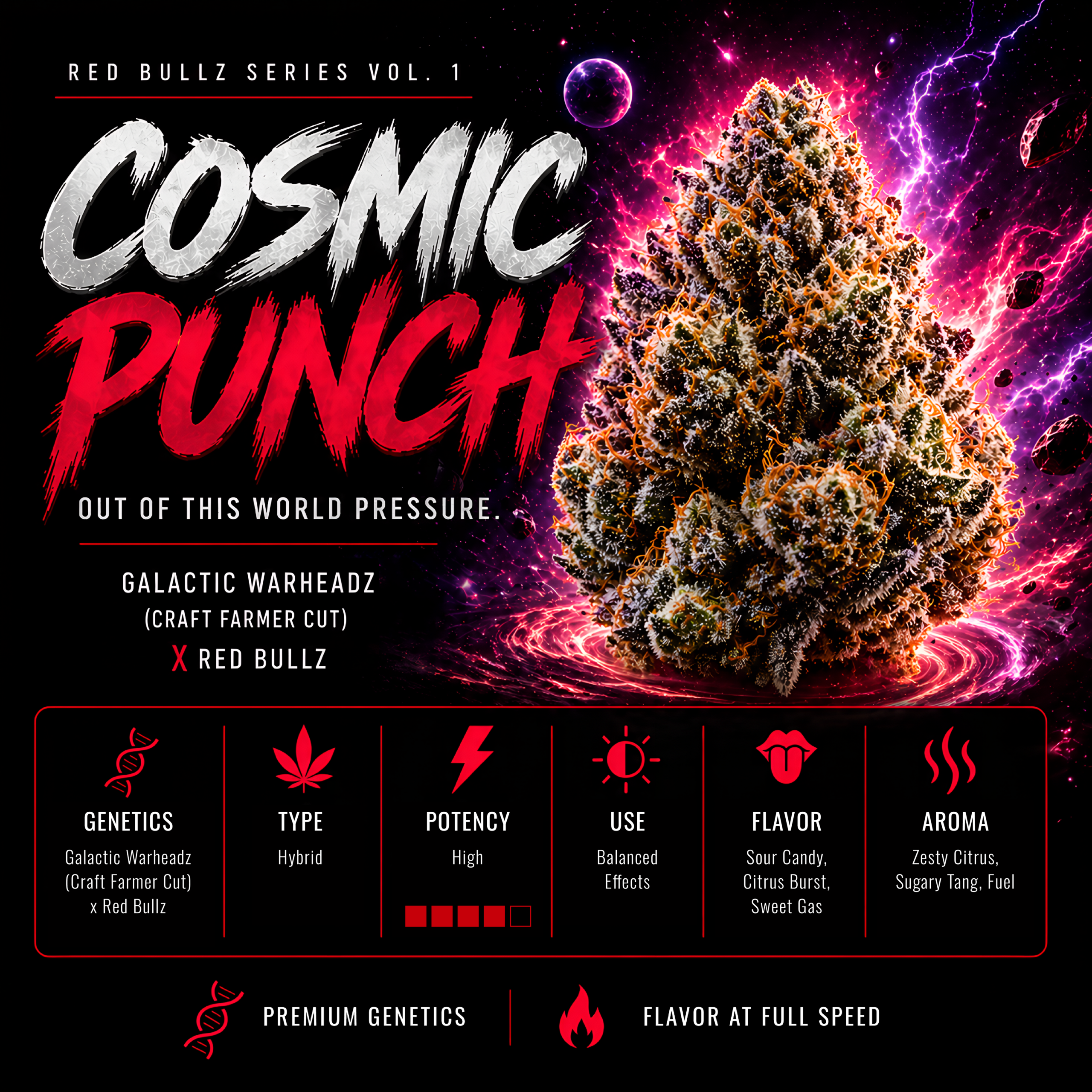 COSMIC PUNCH (GALACTIC WARHEADS X RED BULLZ) FEM