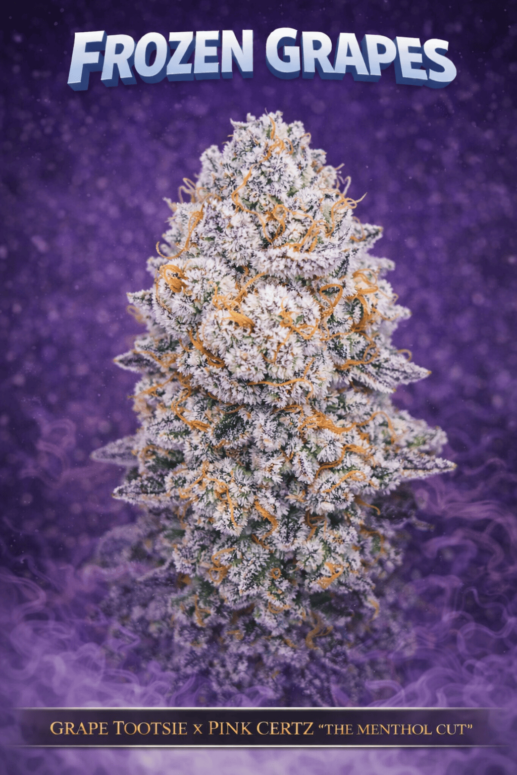 FROZEN GRAPES (GRAPE TOOTSIE X PINK CERTZ) FEM
