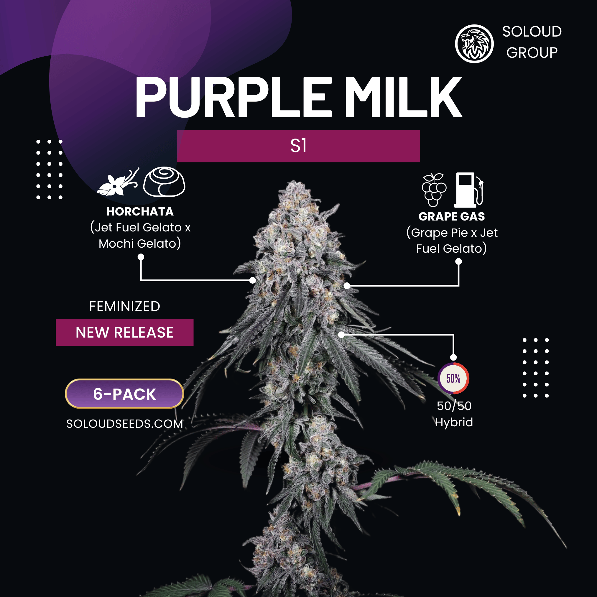 PURPLE MILK S1