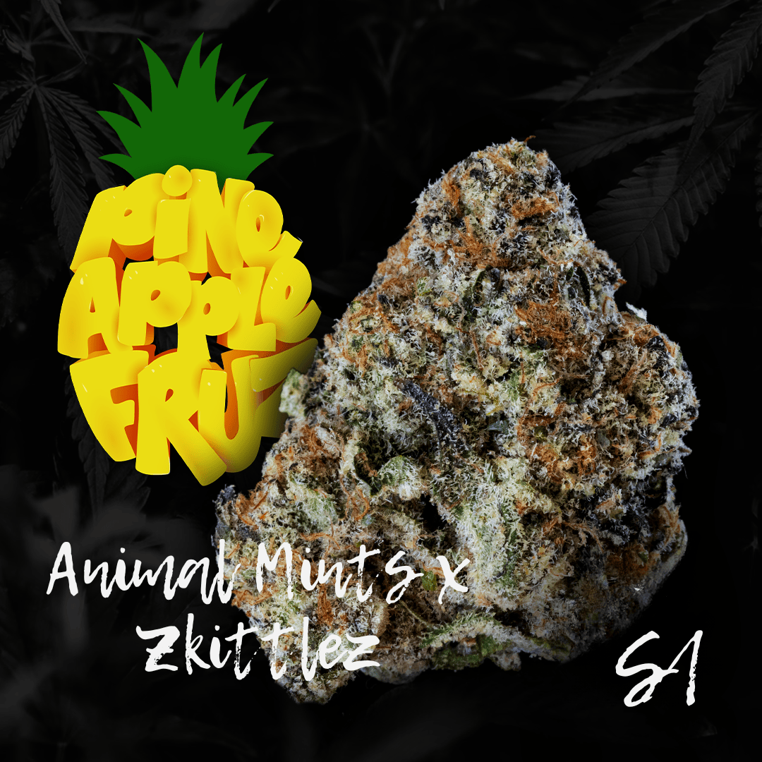 PINEAPPLE FRUZ S1