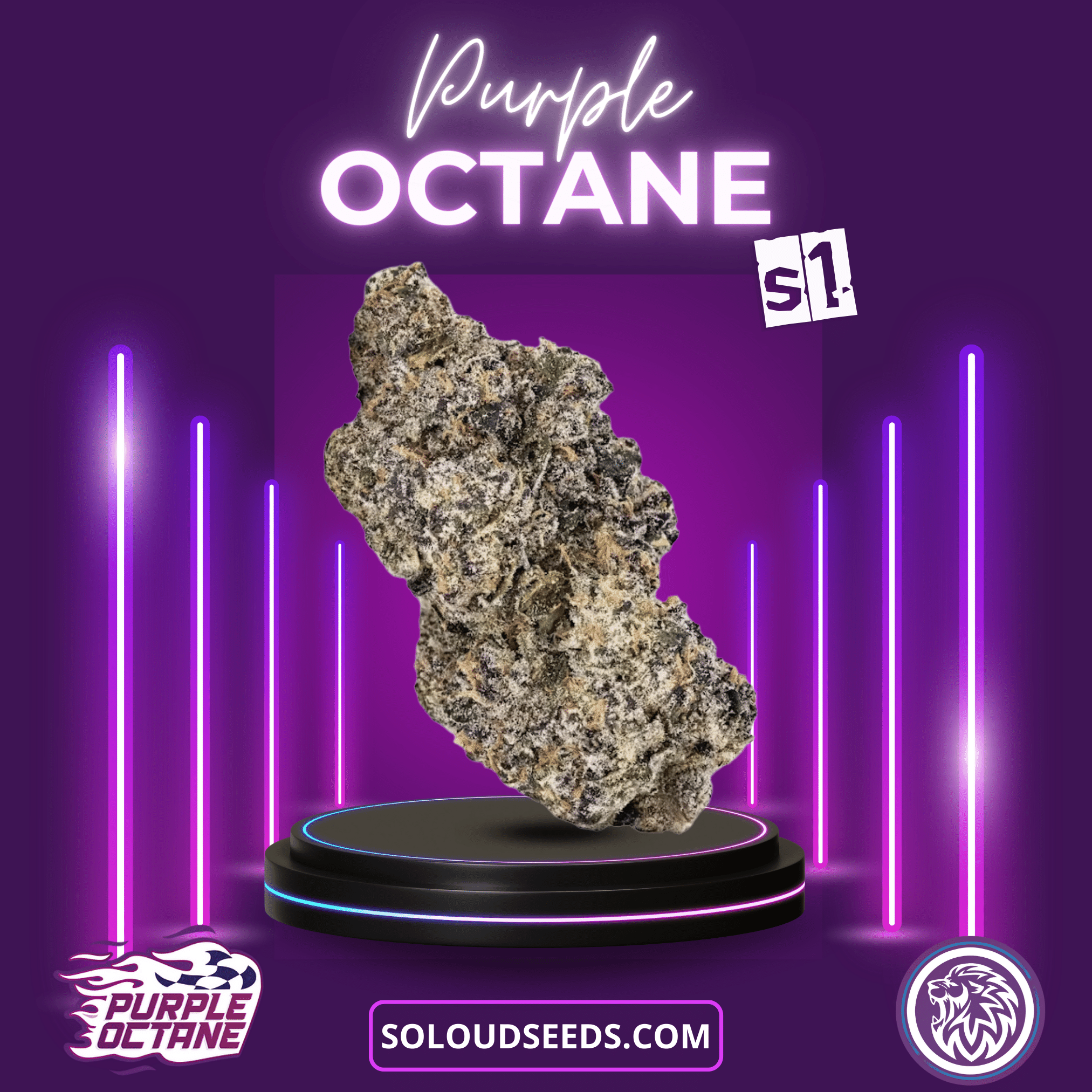 PURPLE OCTANE S1