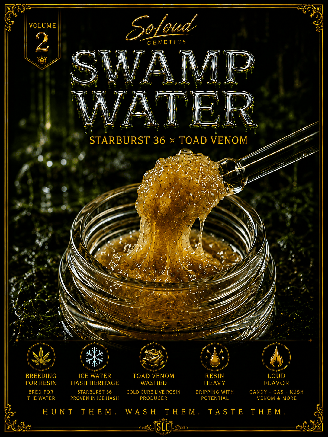 SWAMP WATER (FEM)
