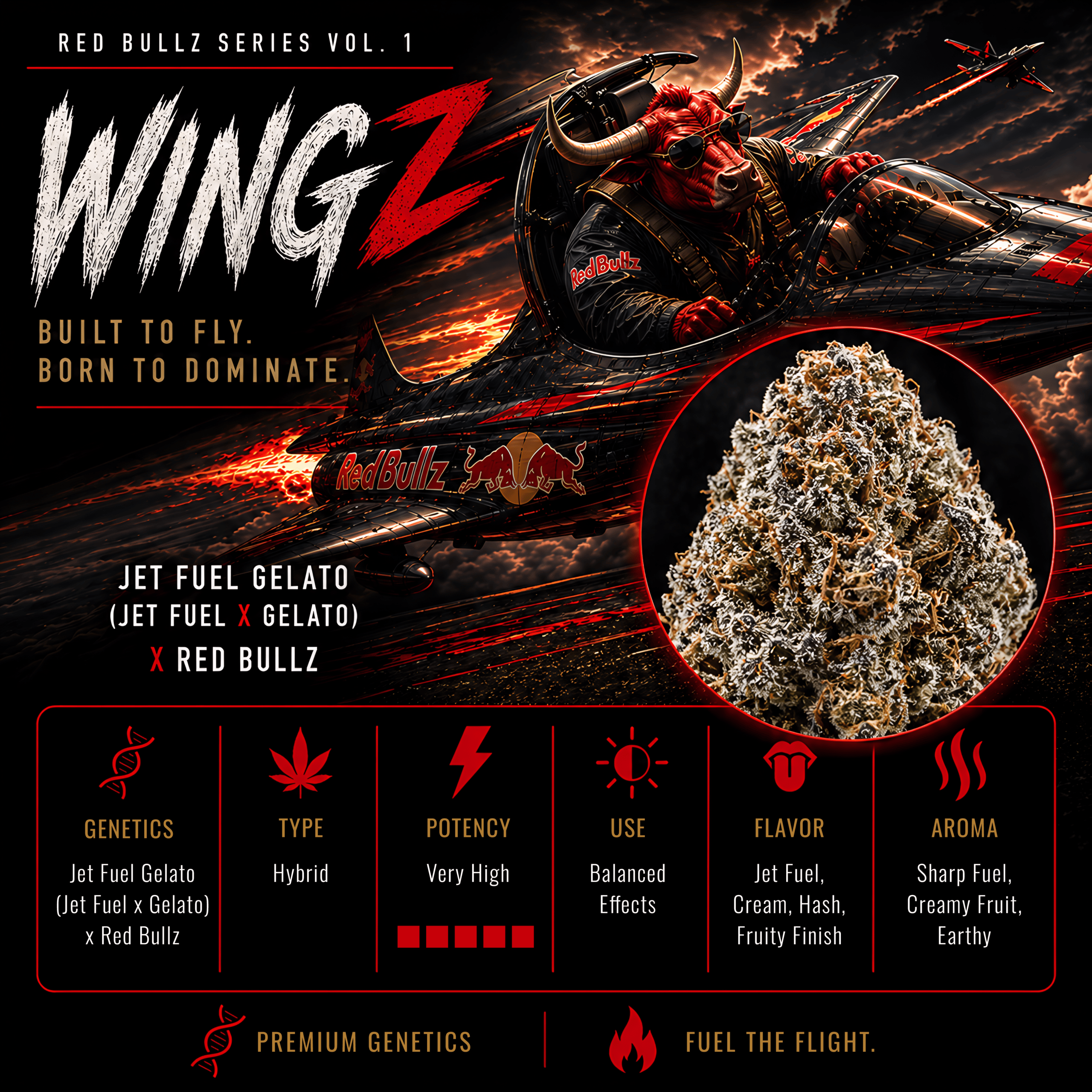 WINGZ (JET FUEL GELATO X RED BULLZ) FEM