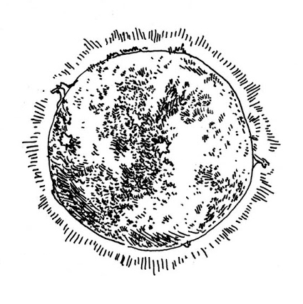 Daniel Elkin Reviews Vision 2 By Julia Gfrorer Solrad