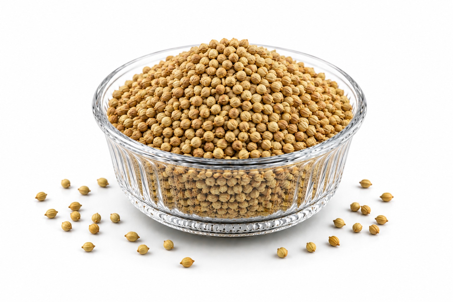 Coriander