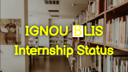 Blis Internship Status