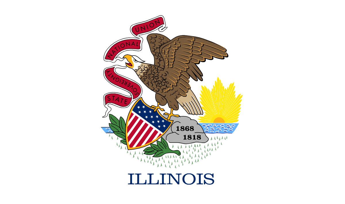 Illinois Flag Large
