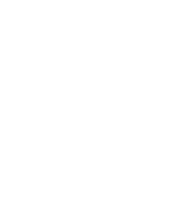 Chevron Logo