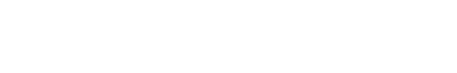 Shisiedo Logo