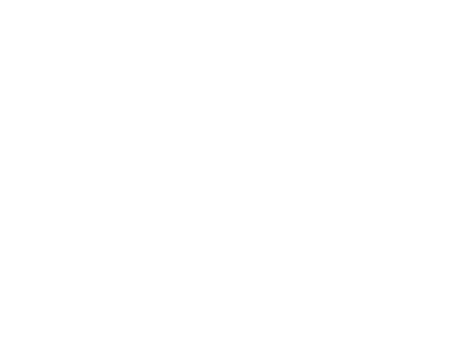 Virgin Logo