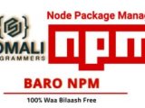Somali Programmers Baro Cilmiga Tiknolojiga Technology Si Bilaash