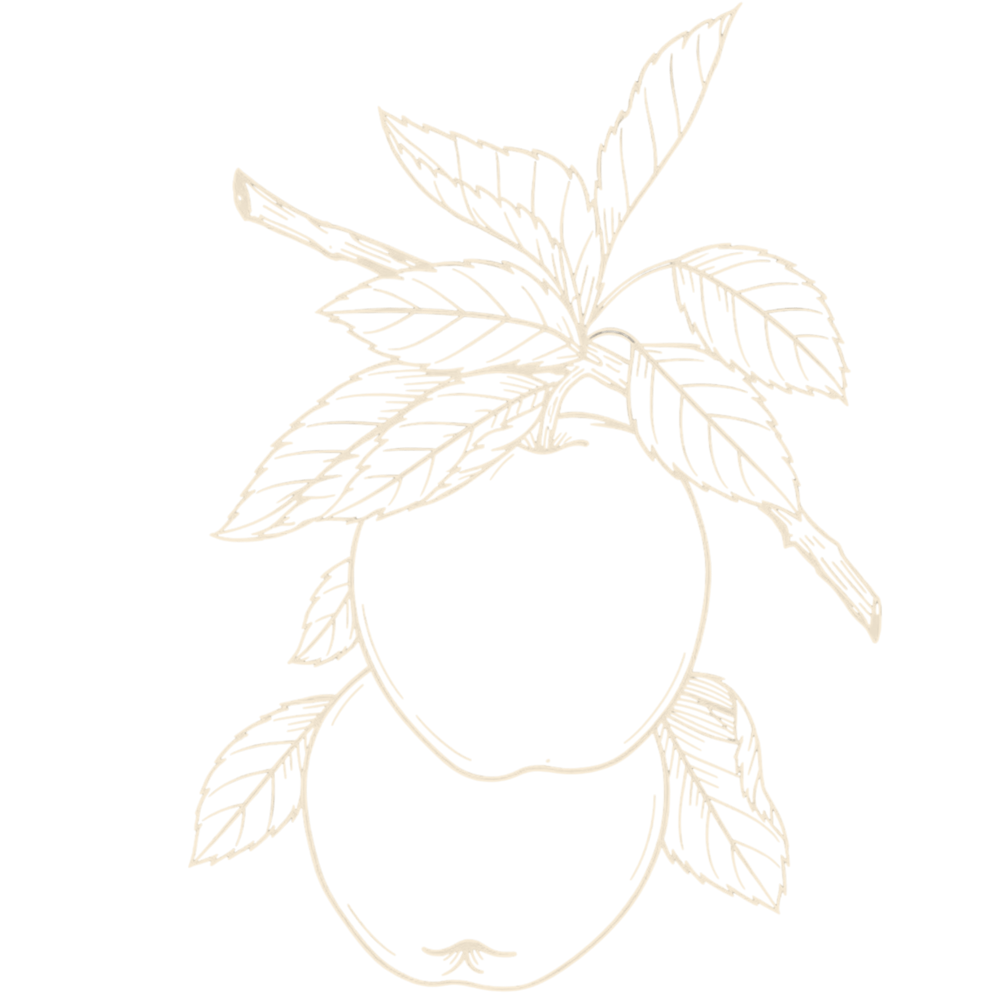 appleGraphicCream