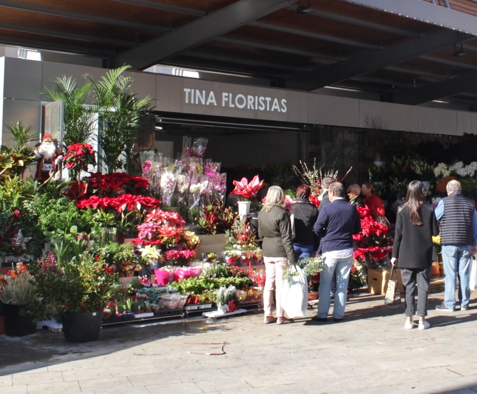 FLORES-01