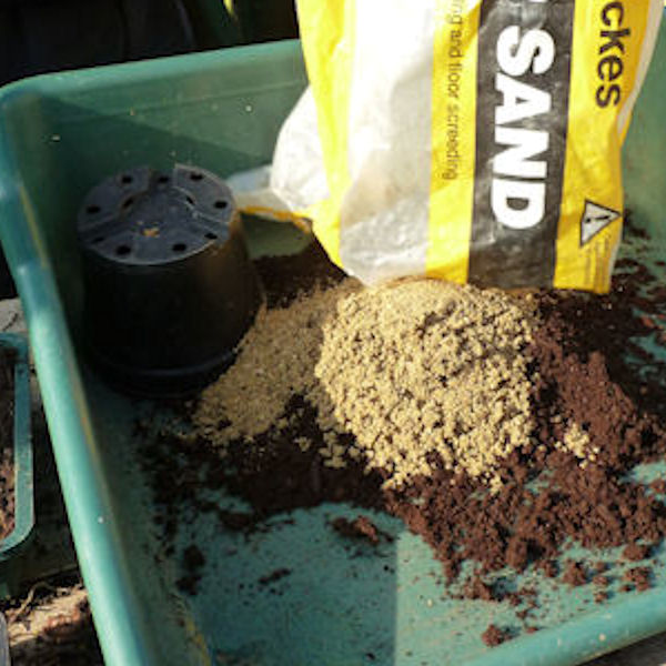 1. Fill a pot with a prepared cuttings medium, either a commercial one or your own home-made mix, if you have one.