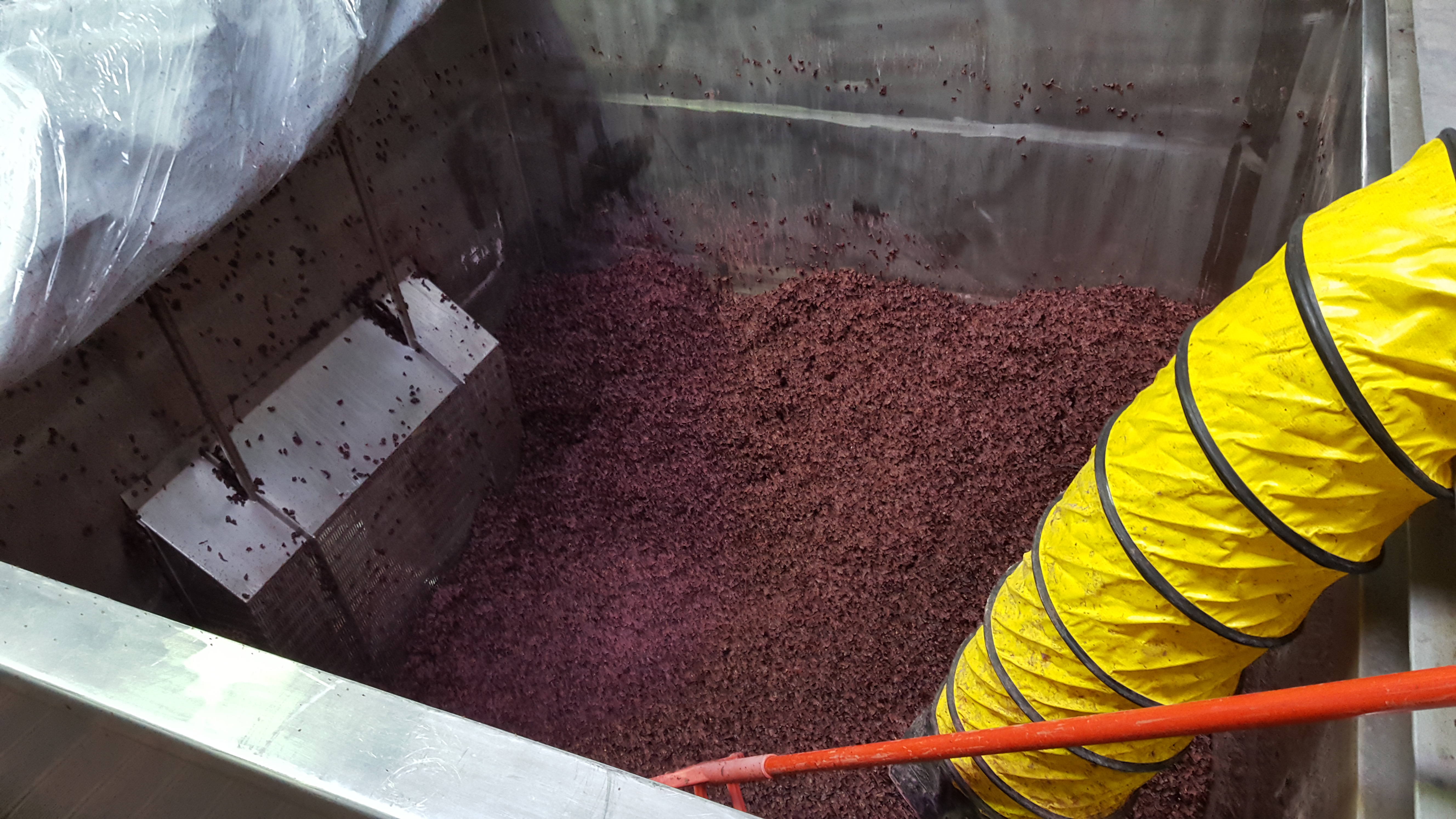 Pinot tank pre dug-out