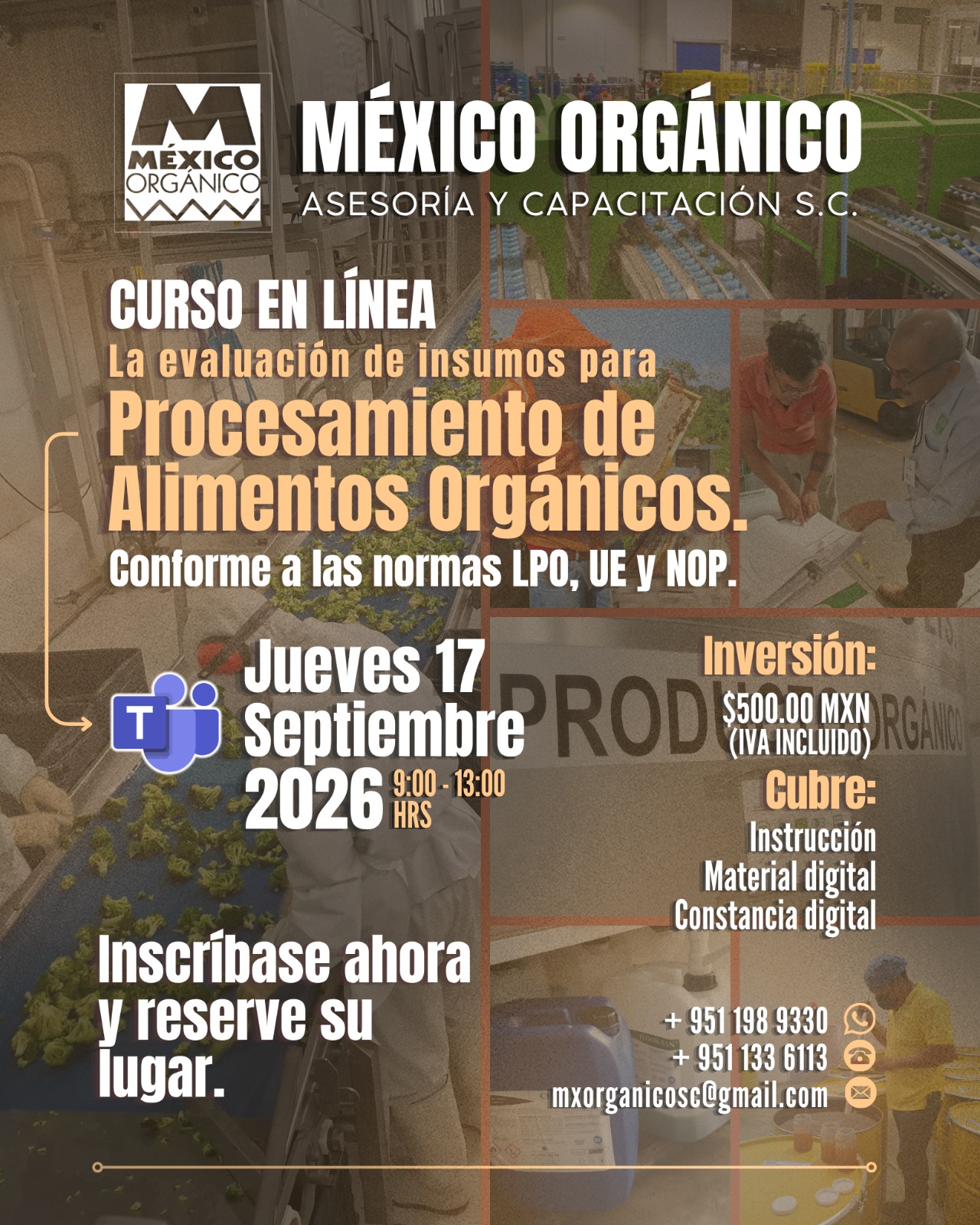 curso 1