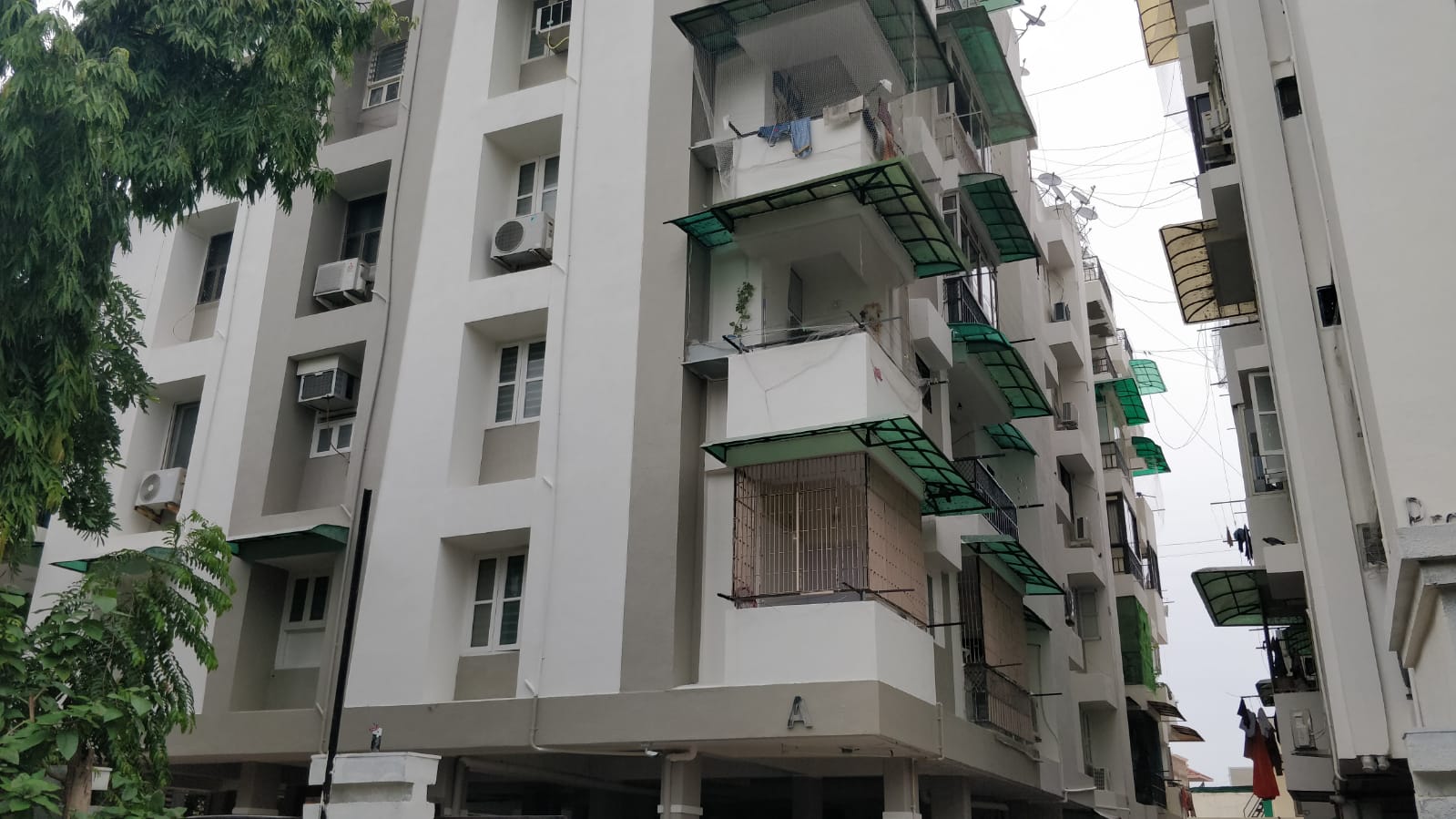 3BHK Flat for sale – 165 SQ Yard – Var Unfurnished, Allotted Parking – Flat in Jodhpur Satellite