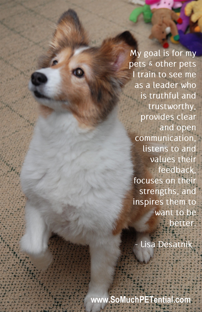 Aggressive Dog Training Cincinnati: Transform Your Pet's Behavior