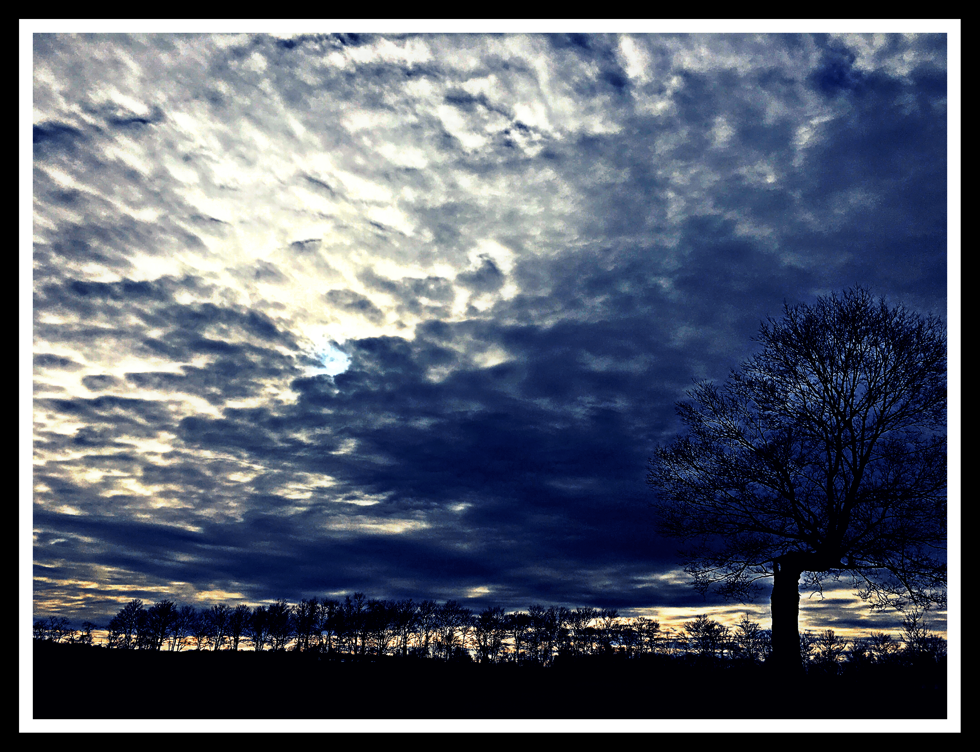 #sun #hidenseek #tree