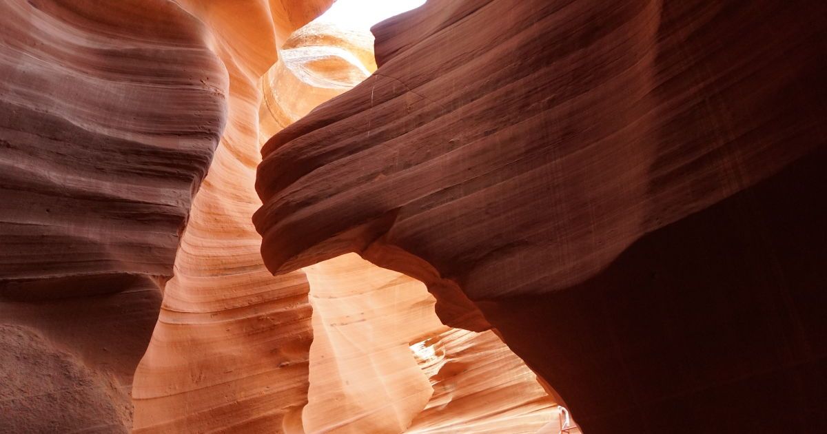 Купив билет примерно за 20 usd, туристы получают право на . Eshe Uspeete S Nami V Ssha V Iyune Kaliforniya Zhdet Vas S 11 06 Turoperator Sonata Usa Tury V Ssha Na Russkom Yazyke