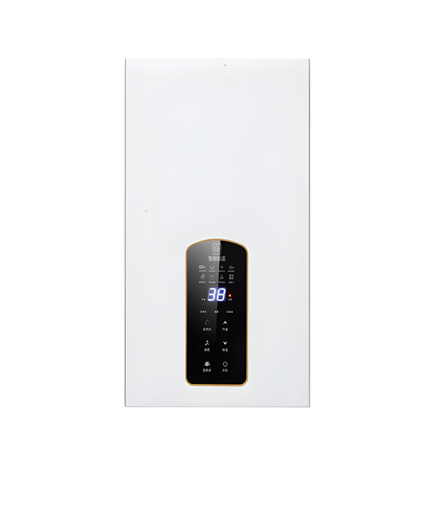 2SM-R-1002 Gas Instantaneous Water Heater