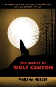 The Secret of Wolf Canyon by Marsha Hubler
