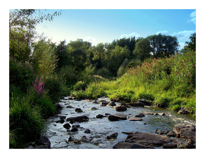 Flusslandschaft Breyell - Niederrhein