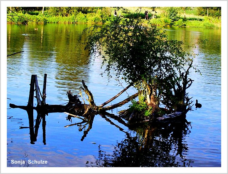 See in Breyell - Niederrhein