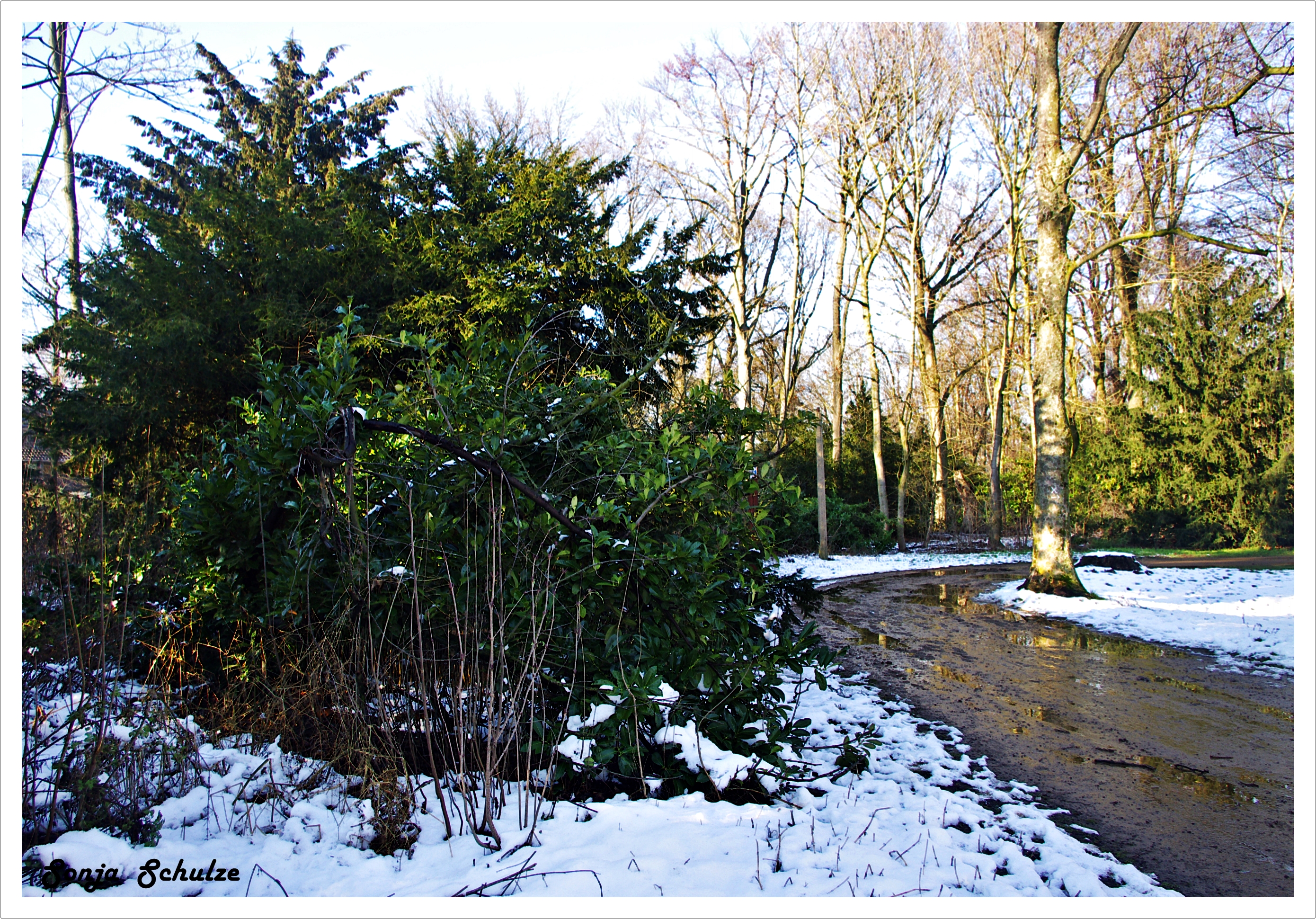 Winterlandschaft3