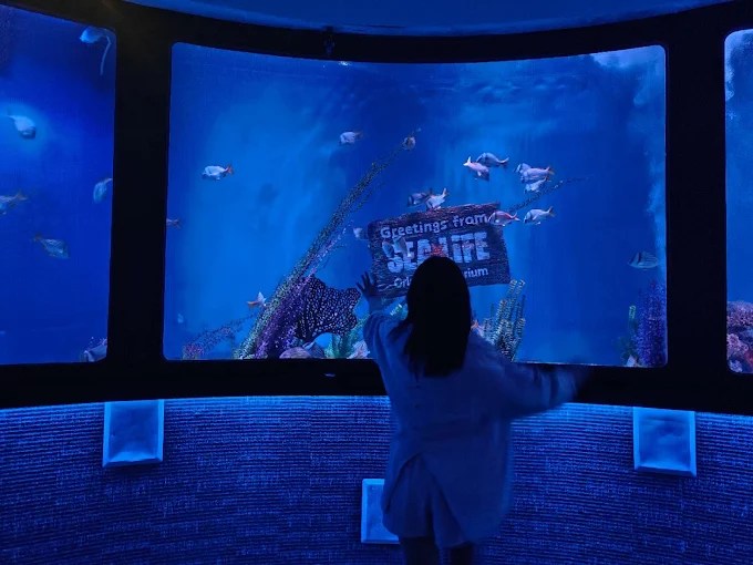 Sea Life Orlando | Sonora Luxe Travel