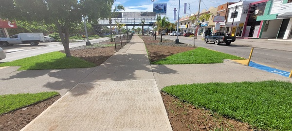 árboles