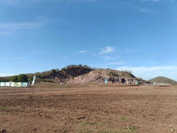 Campestre