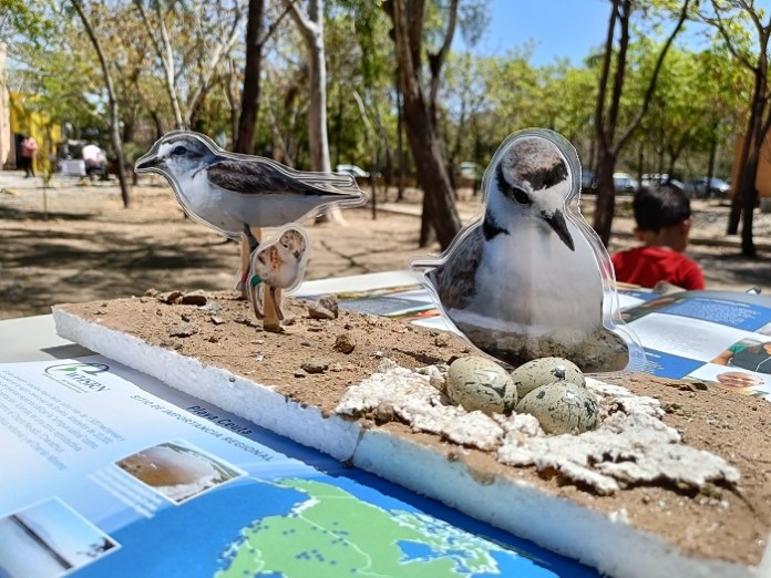 Expo Ambiental Son Playas
