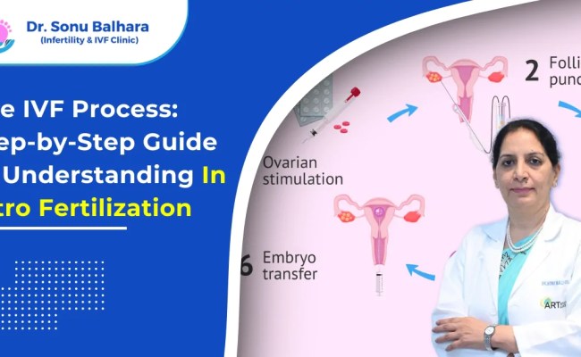 IVF Process: Step-by-Step Guide To In Vitro Fertilization