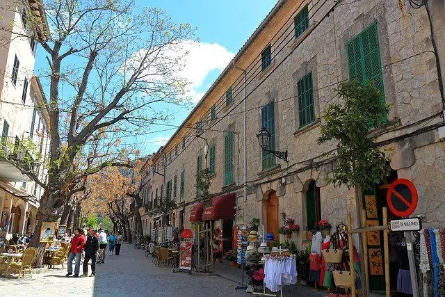 valldemossa son viscos