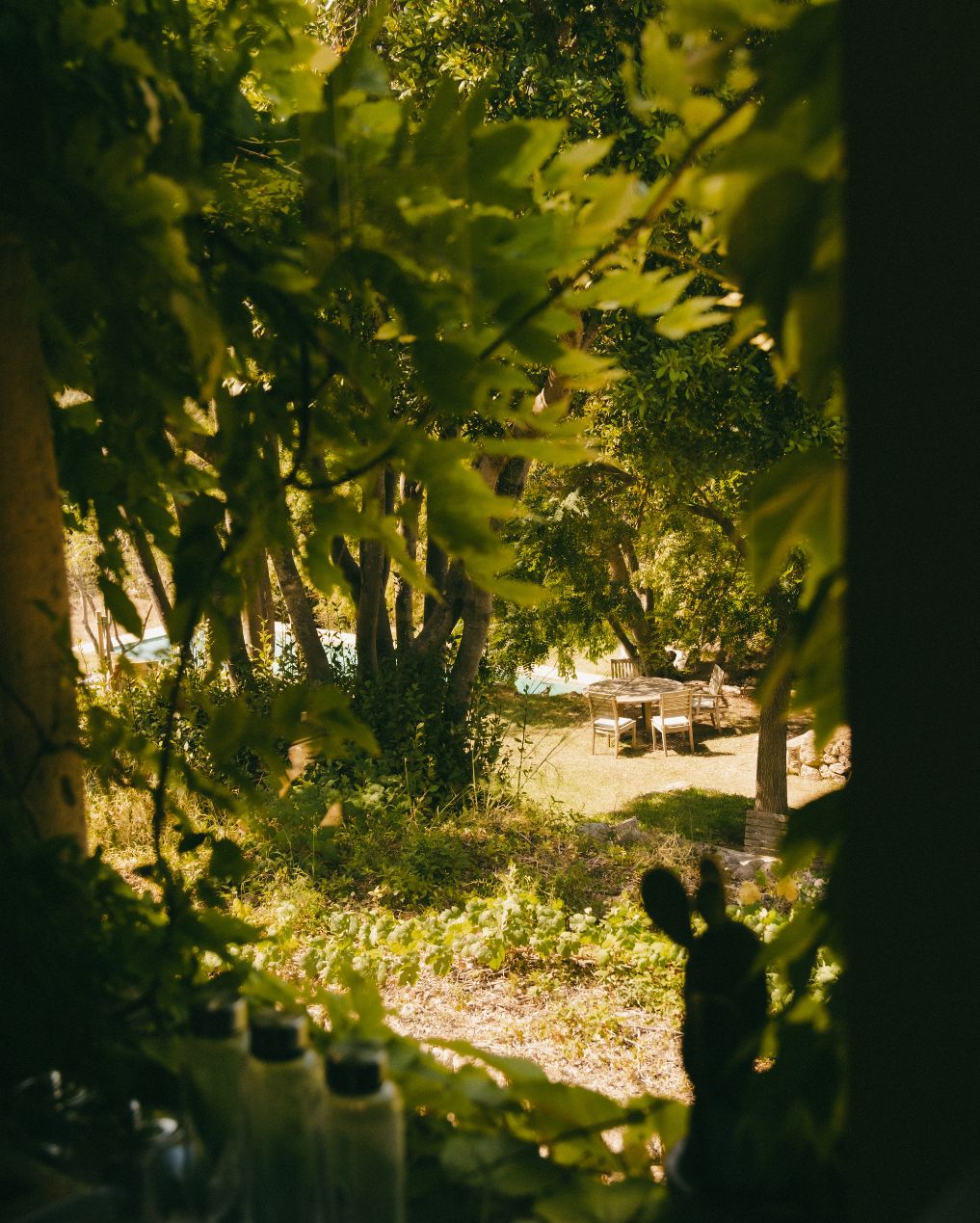 Luxury staying Valldemossa