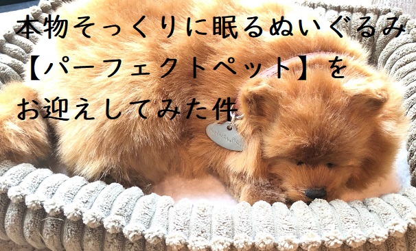 本物そっくりに眠るぬいぐるみ【パーフェクトペット】をお迎えしてみた