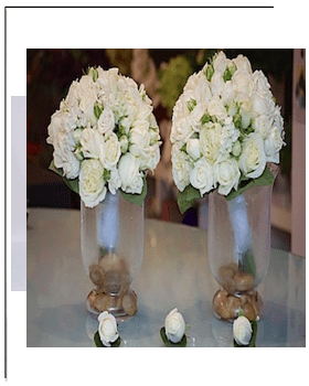 White Wedding Roses