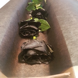 Black Roses in Long Box