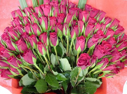 Valentines Day Red Roses