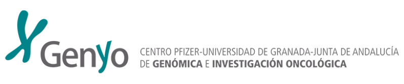 Center Genyo - Download Amazing Vintage Pattern | Ultra HD