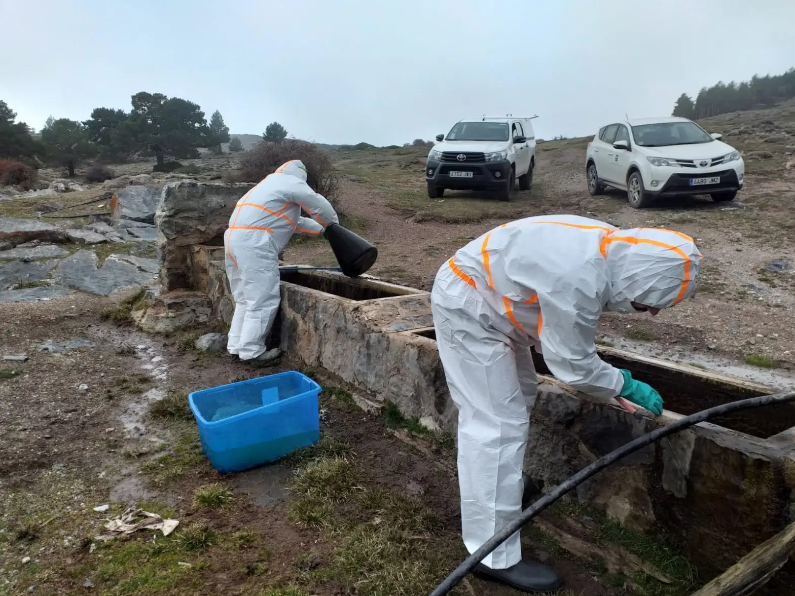 Trabajo científico con un anfibio durante un estudio sanitario