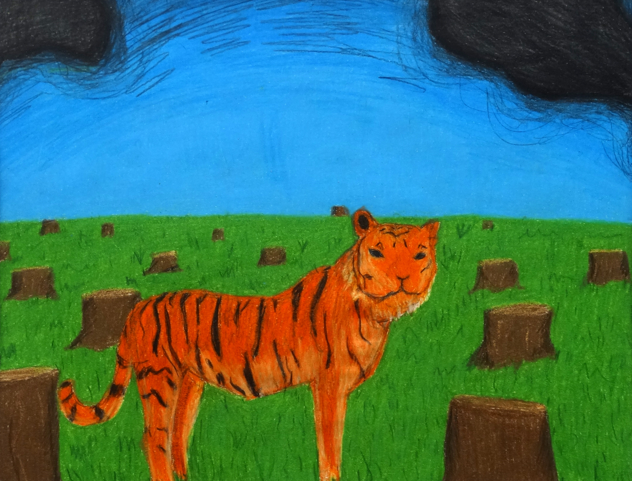 Mount Notre Dame HS - Sofia BLACKSTONE