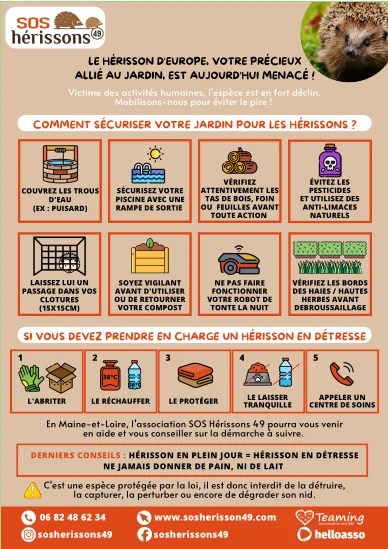 Image affiche manquante